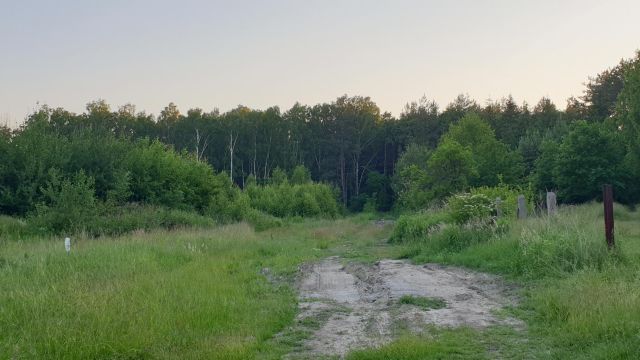 Działka budowlana Cegłów, ul. Józefa Kieliszczyka. Zdjęcie 1