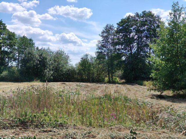 Działka budowlana Aleksandrówka, ul. Szklarniowa. Zdjęcie 1