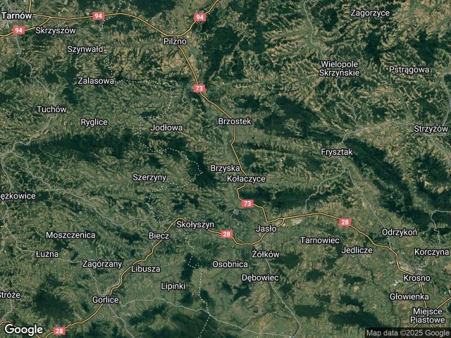 Działka leśna Brzyska. Zdjęcie 1