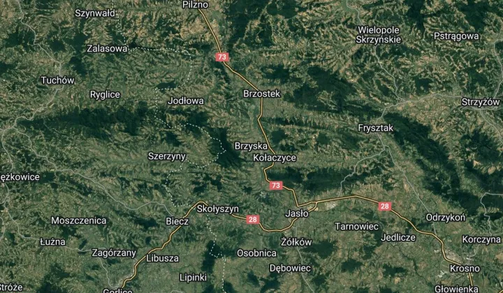 Działka leśna Brzyska