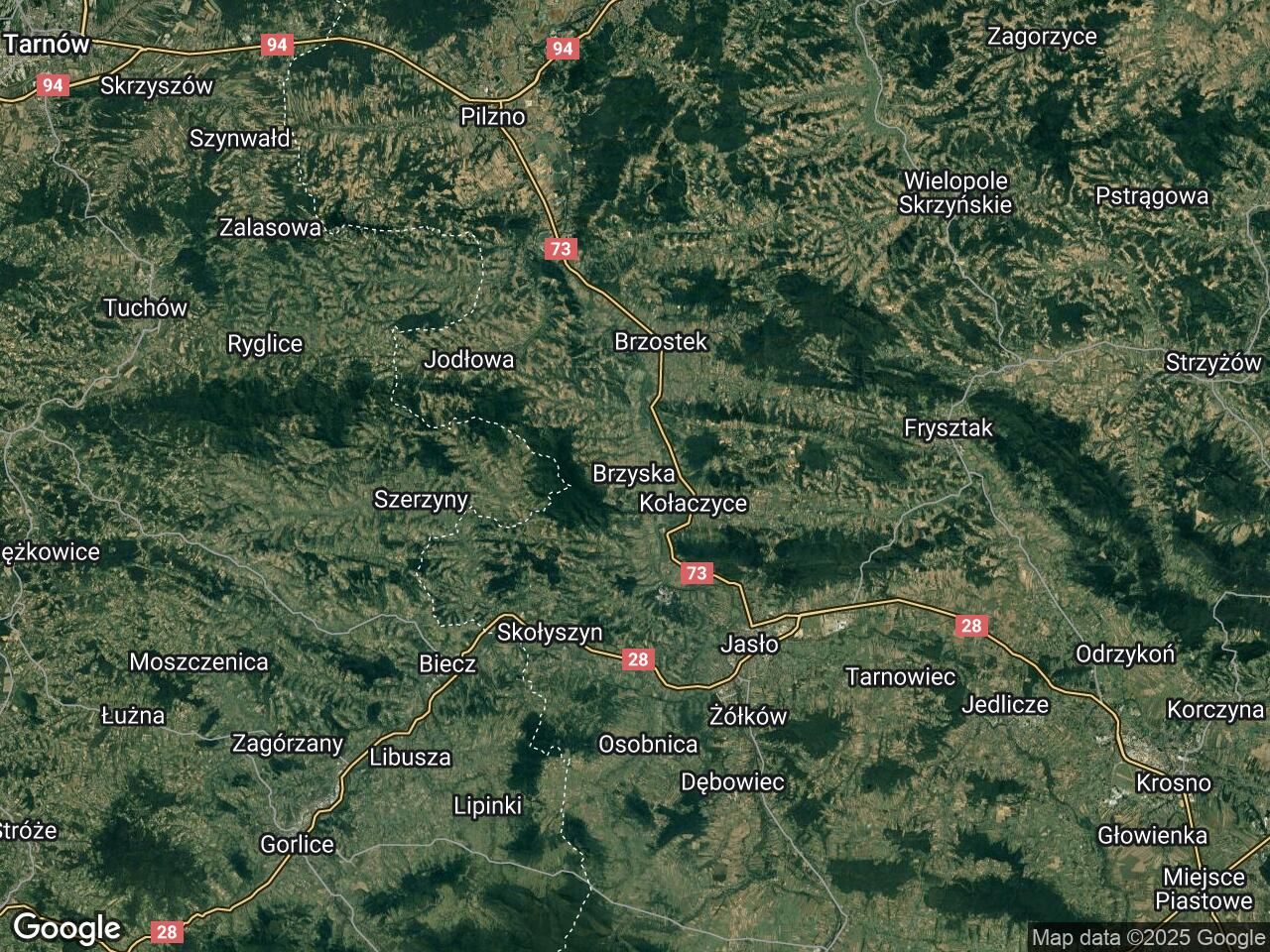 Działka leśna Brzyska