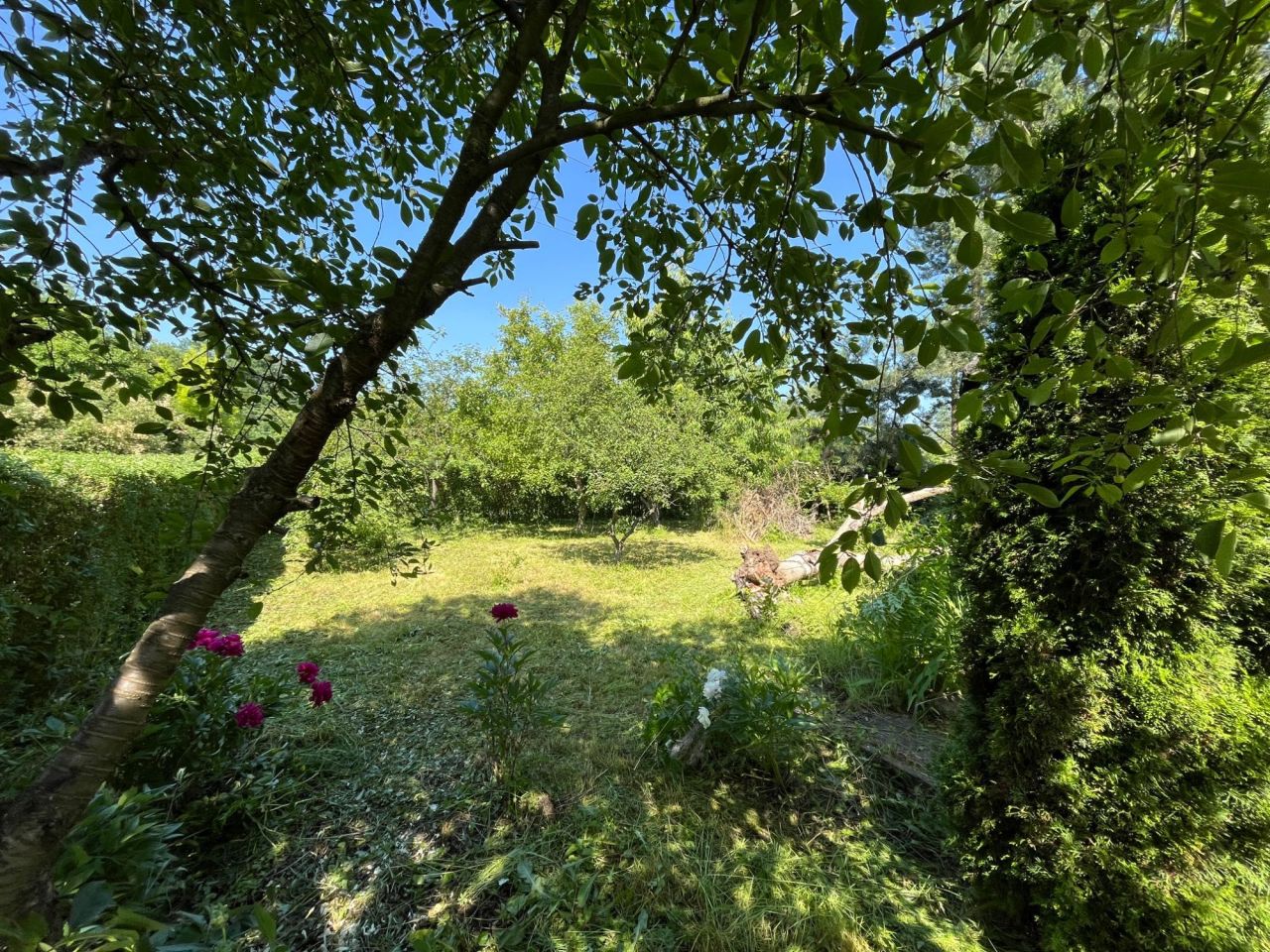 Działka rekreacyjna Wrocław Psie Pole