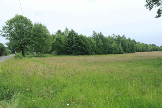 Działka rolna Gościencin. Zdjęcie 1