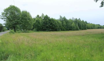 Działka rolna Gościencin