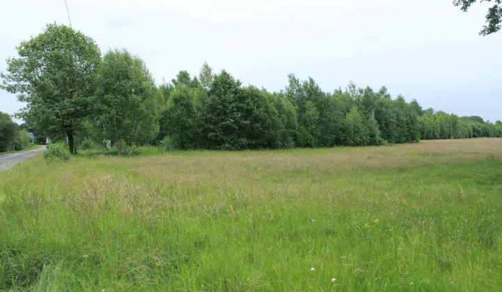 Działka rolna Gościencin