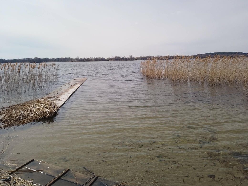 Działka rolno-budowlana Szczecinowo. Zdjęcie 4