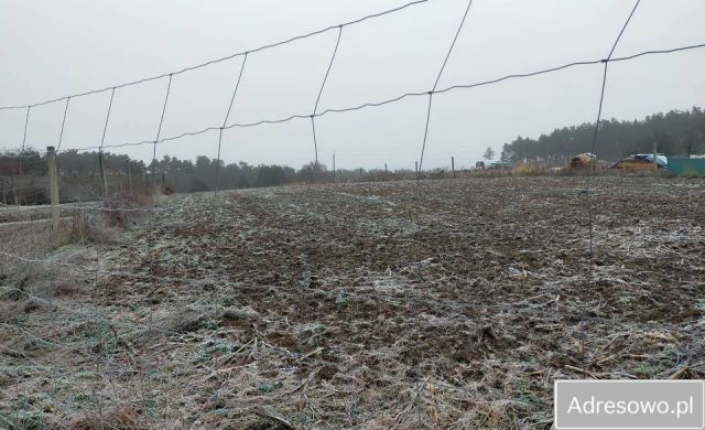 Działka budowlana Muszkowo. Zdjęcie 3