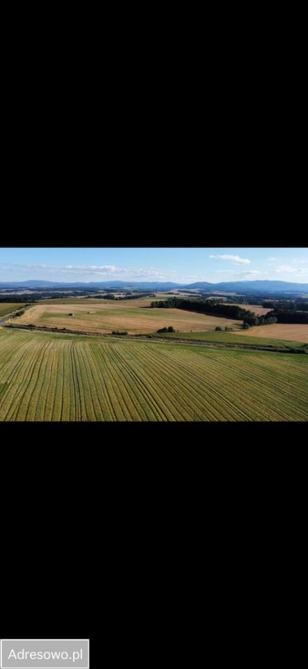 Mieszkanie 3-pokojowe Nadziejów. Zdjęcie 8