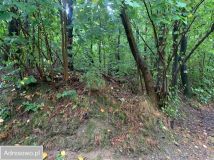 Działka budowlana Jarnołtówek. Zdjęcie 4