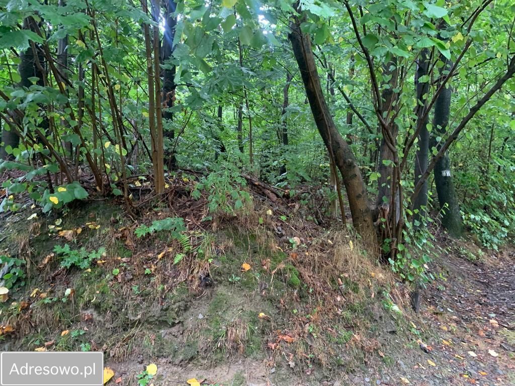 Działka budowlana Jarnołtówek. Zdjęcie 5