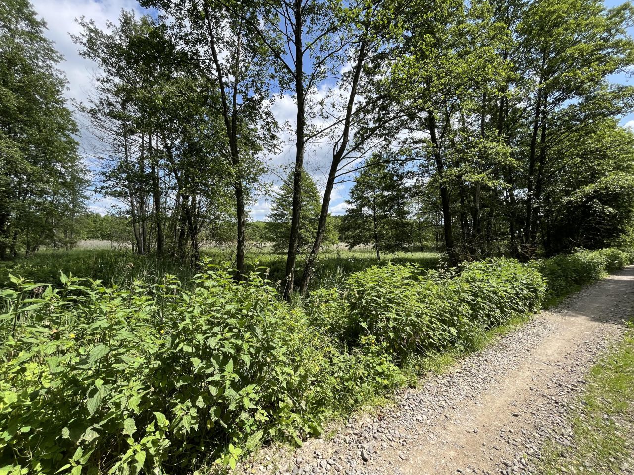 Działka rolna Siennica Nadolna. Zdjęcie 12