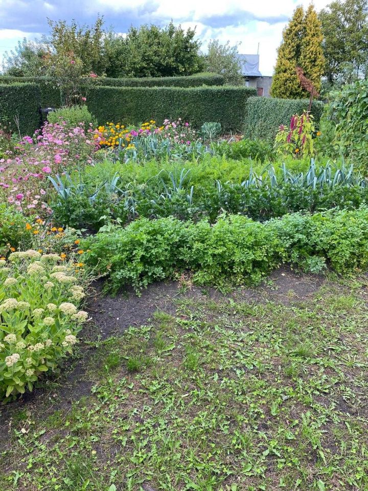 Działka rod Namysłów. Zdjęcie 3