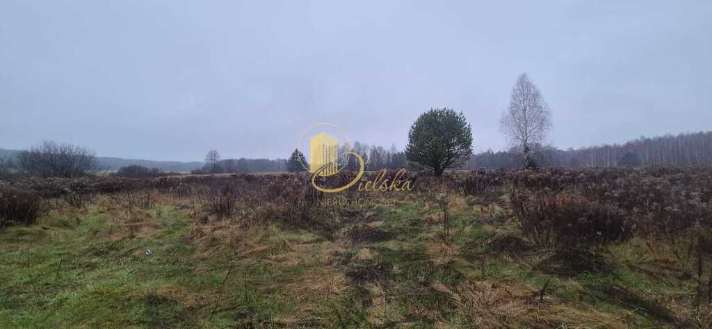 Działka budowlana Grzybowce. Zdjęcie 4