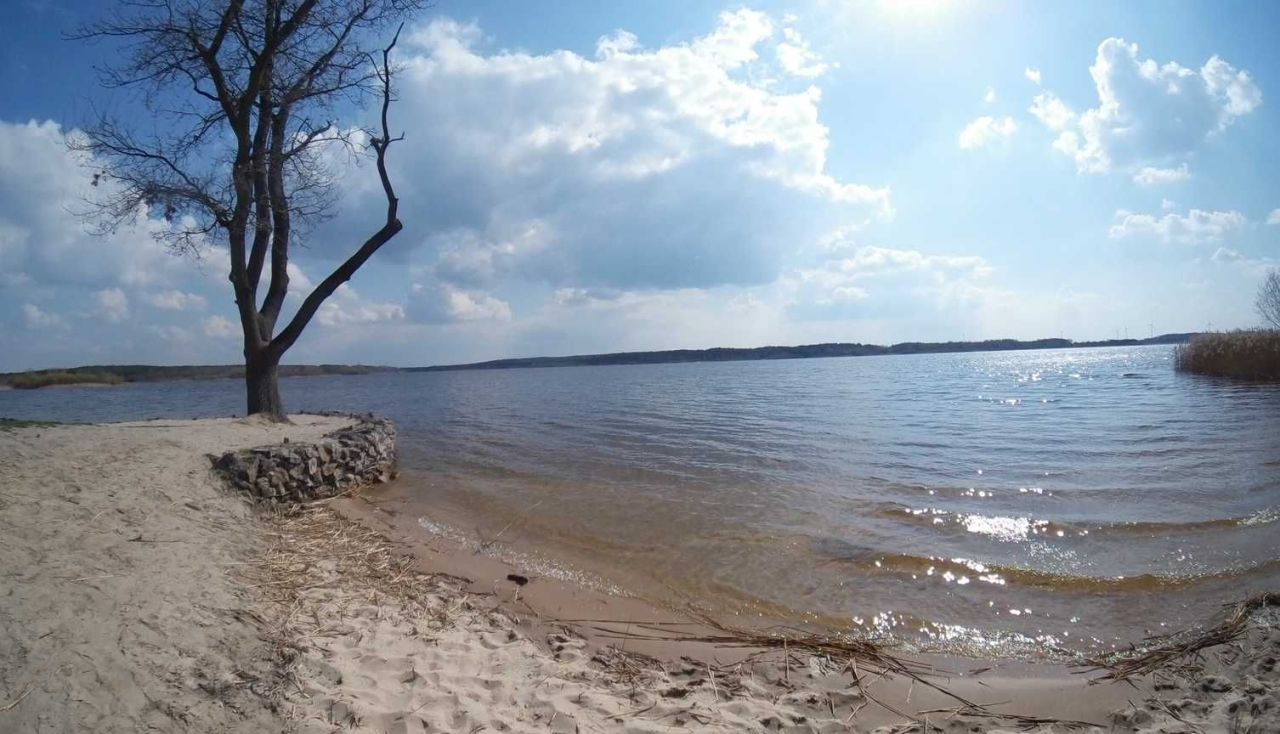 Działka rolna Daniszewice. Zdjęcie 7