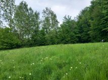 Działka rolno-budowlana Gowidlino Kawle, ul. Łąkowa. Zdjęcie 2