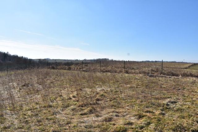 Działka rekreacyjna Sople. Zdjęcie 6