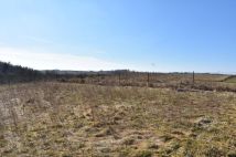 Działka rekreacyjna Sople. Zdjęcie 4