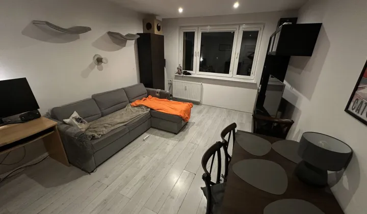 Mieszkanie 2-pokojowe Katowice Giszowiec