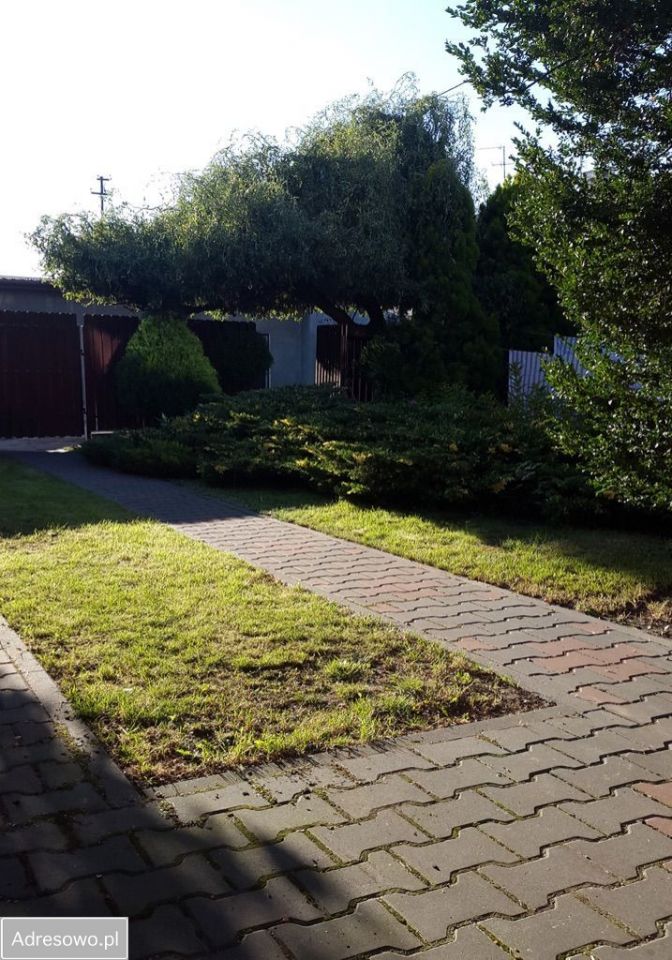 kamienica Warka Centrum, pl. Stefana Czarnieckiego. Zdjęcie 15