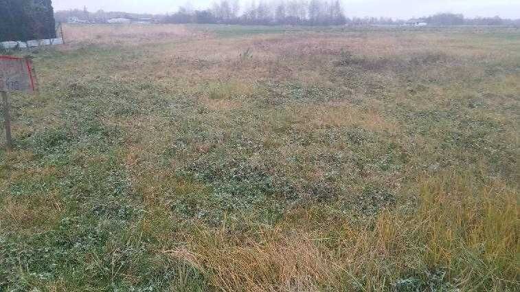 Działka budowlana Masłów Pierwszy