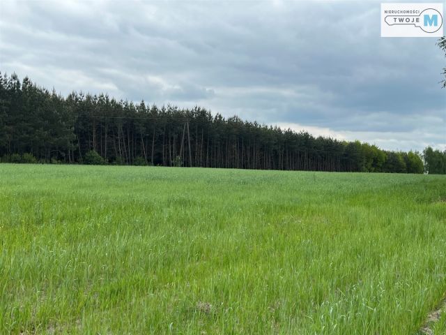 Działka rolna Trzciniec. Zdjęcie 1