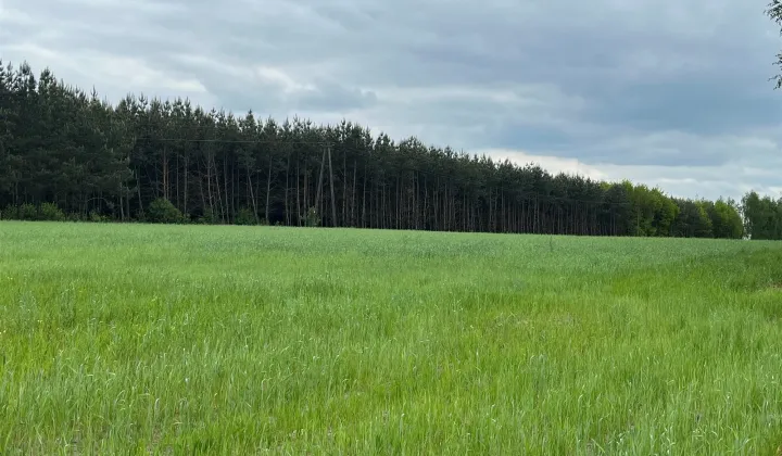 Działka rolna Trzciniec