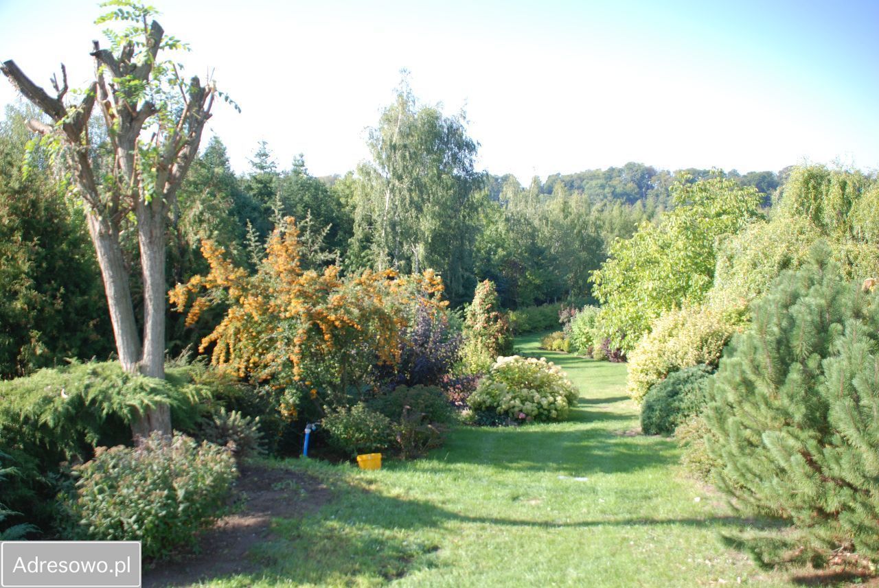 dom wolnostojący, 5 pokoi Lutom. Zdjęcie 3