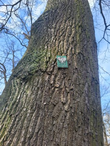 dworek, 6 pokoi Kraków Sidzina, ul. Mieczysława Wrony. Zdjęcie 11