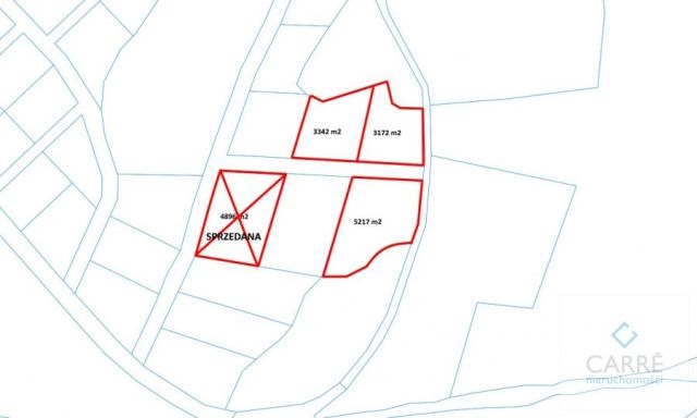 Działka rolna Jelenin. Zdjęcie 2