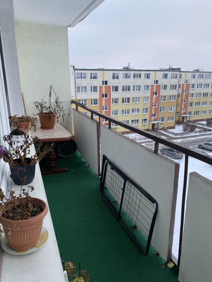 Mieszkanie 2-pokojowe Grudziądz Mniszek. Zdjęcie 7