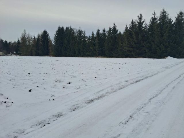 Działka budowlana Parchów. Zdjęcie 1