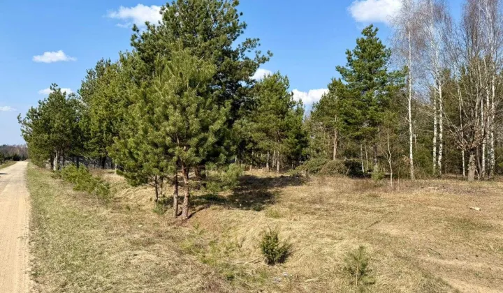 Działka budowlana Nowy Cydzyn