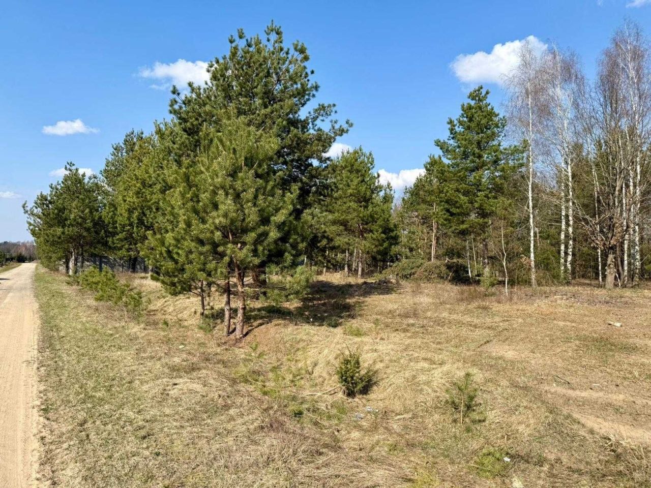 Działka budowlana Nowy Cydzyn. Zdjęcie 1