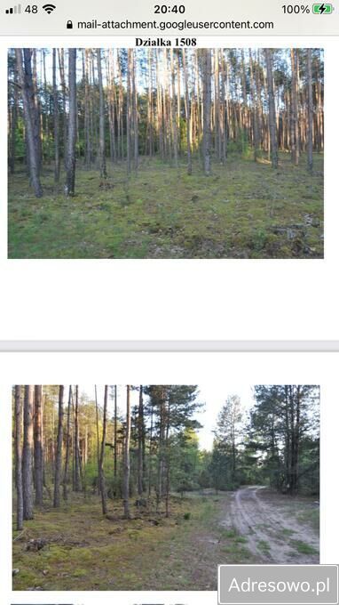Działka leśna Raków. Zdjęcie 3