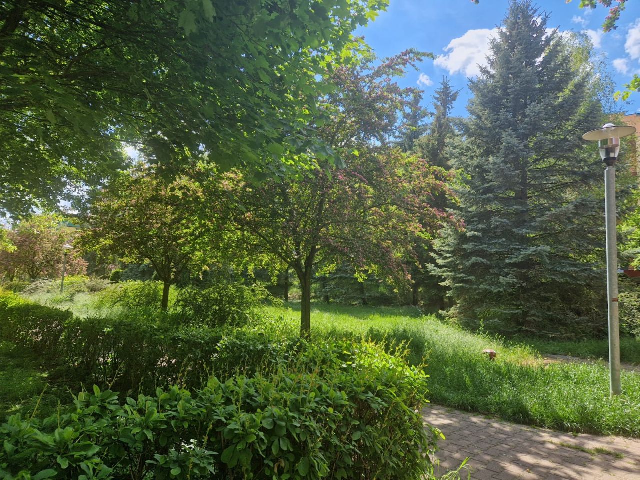 Mieszkanie 4-pokojowe Szczecin Niebuszewo, ul. Przyjaciół Żołnierza. Zdjęcie 7