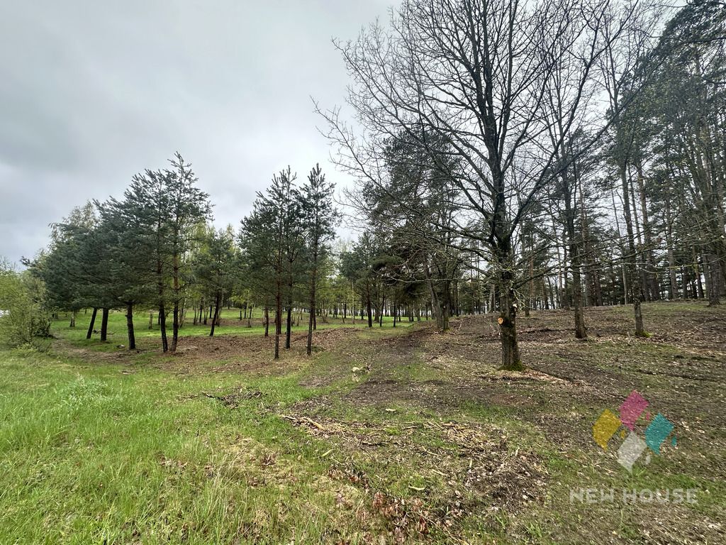 Działka budowlana Tałty. Zdjęcie 11