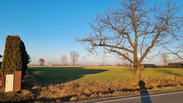 Działka rolno-budowlana Masłowo Masłowskie Huby. Zdjęcie 2