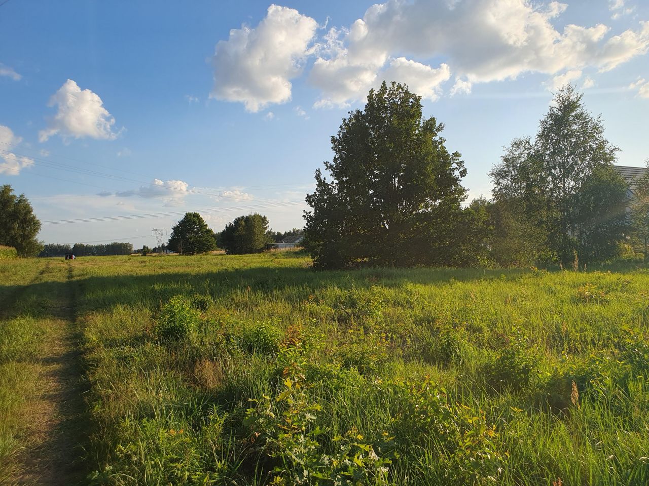 Działka budowlana Wąsy-Kolonia, ul. Graniczna. Zdjęcie 6
