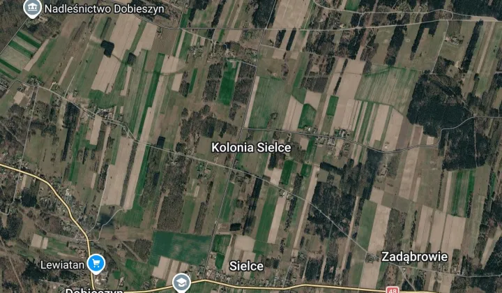 Działka rolna Kolonia Sielce