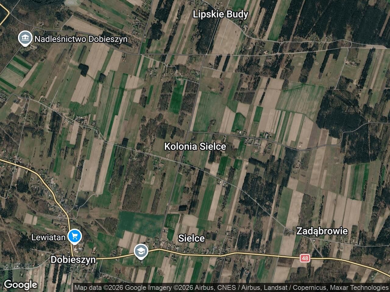 Działka rolna Kolonia Sielce. Zdjęcie 1