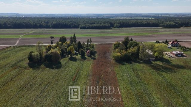 Działka budowlana Czerniejów-Kolonia. Zdjęcie 8