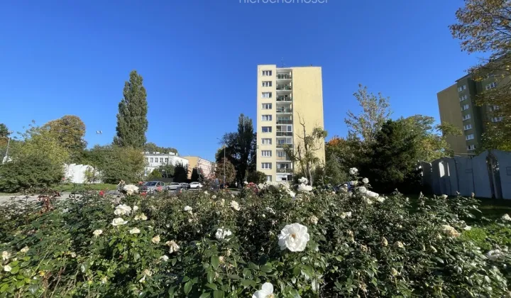 Mieszkanie 1-pokojowe Łódź Doły, ul. ks. Stanisława Staszica