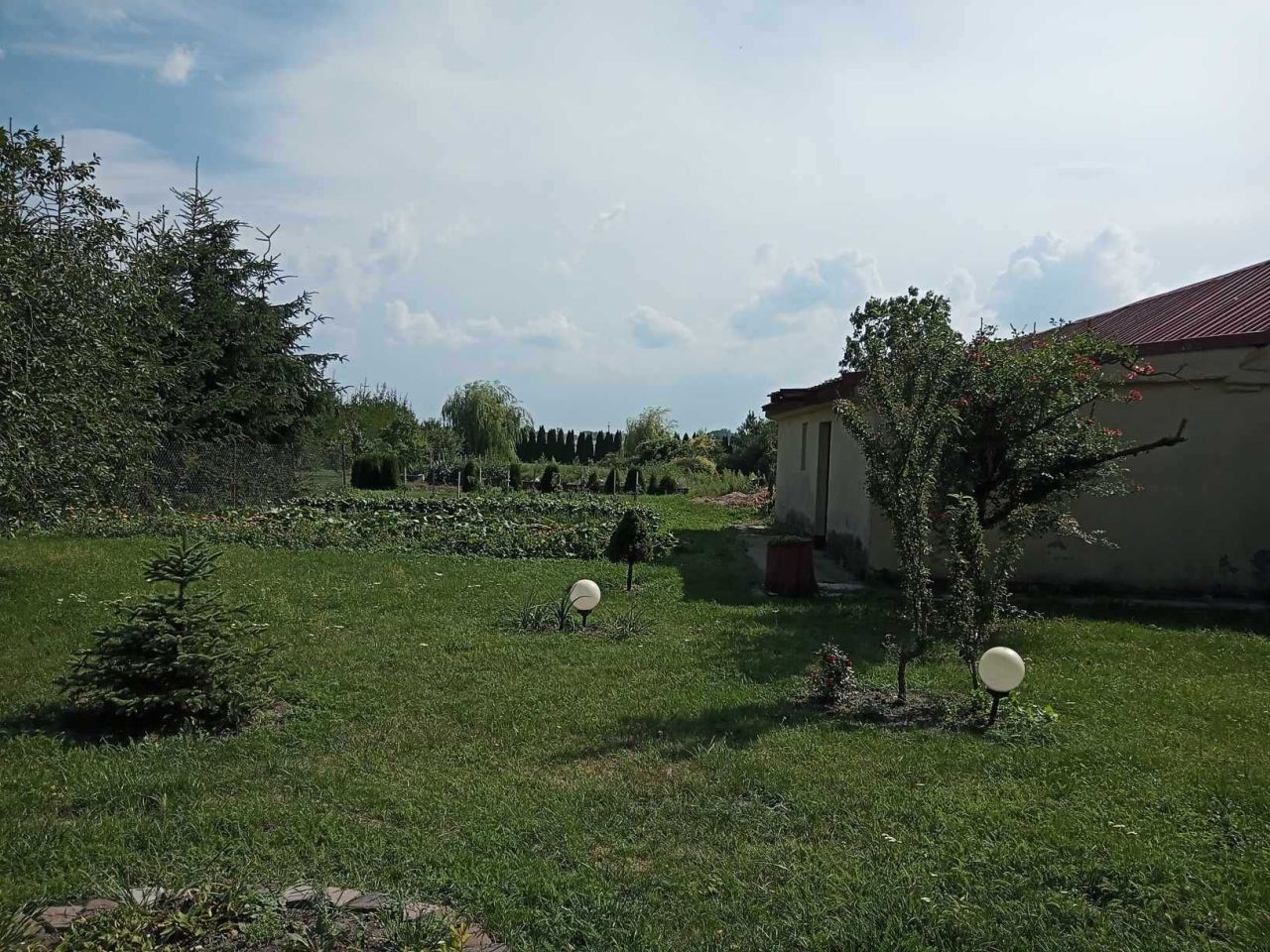 Działka budowlana Wierzbowo. Zdjęcie 2