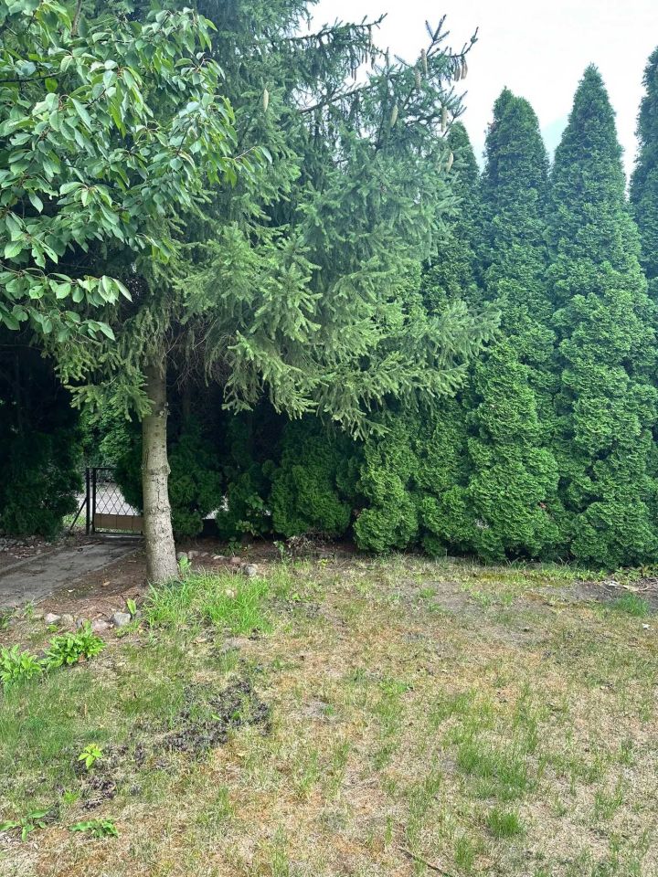 Działka rod Swarzędz. Zdjęcie 3