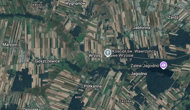 Działka leśna Wrzos