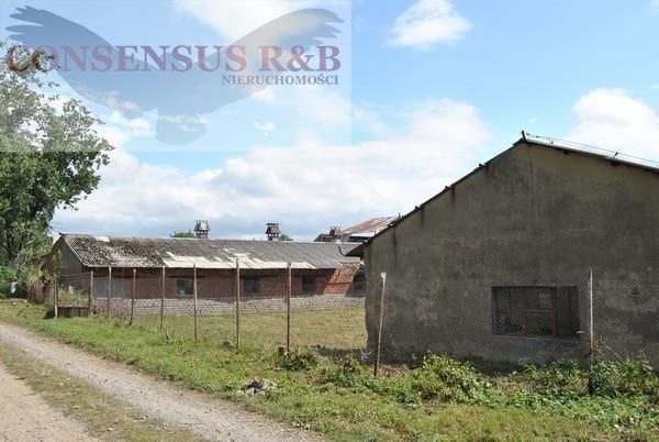 Hala/magazyn Prudnik. Zdjęcie 9