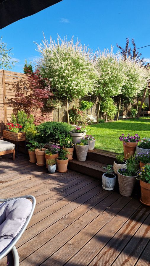 bliźniak, 4 pokoje Zakrzów. Zdjęcie 21