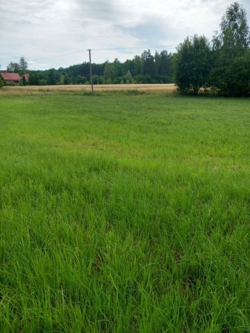 Działka rekreacyjna Kałęczyn. Zdjęcie 1