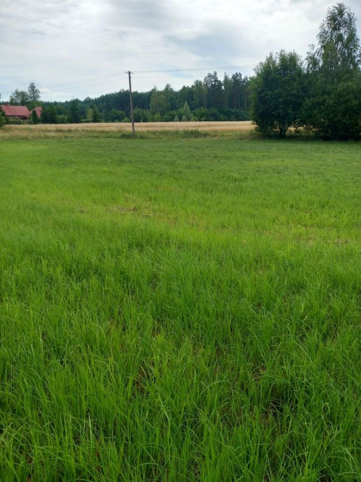 Działka rekreacyjna Kałęczyn