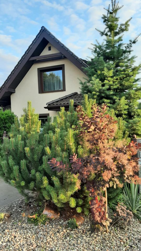 dom wolnostojący, 3 pokoje Olsztyn Zatorze, ul. Chełmińska